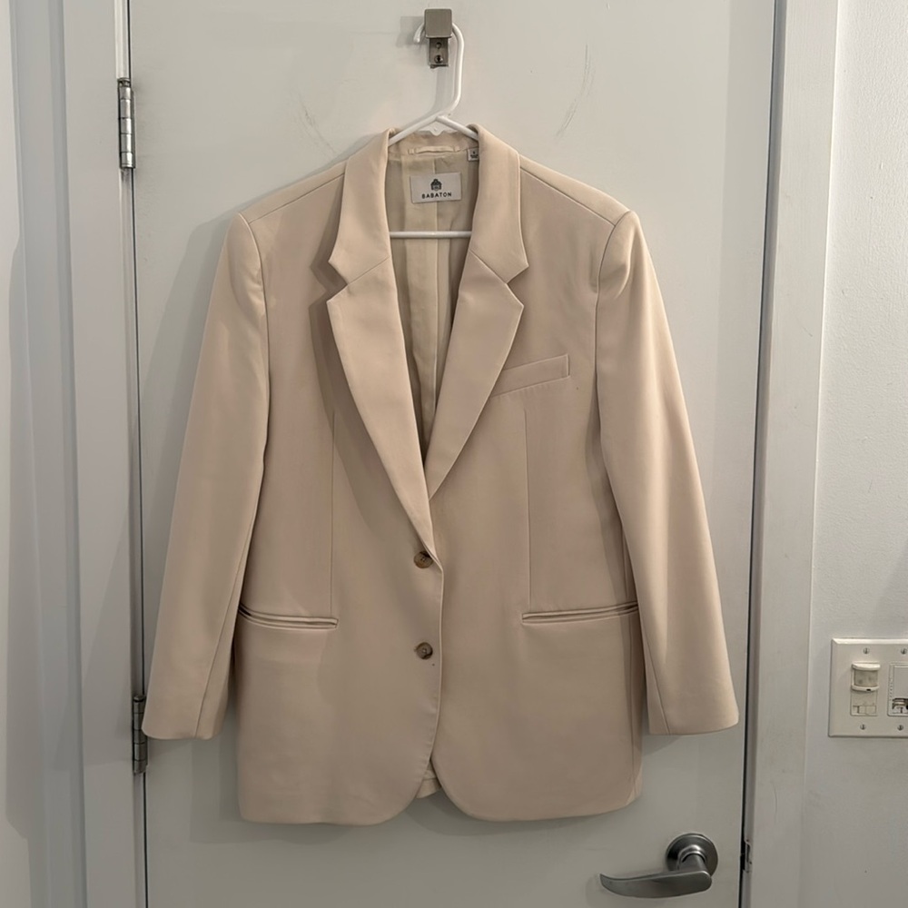 Aritzia Babaton Strategy Blazer